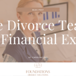 The Divorce Team: The Financial Expert